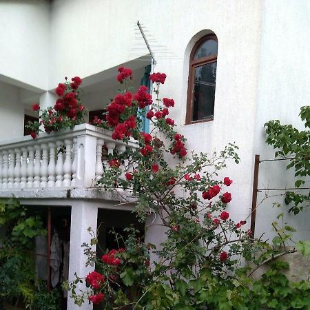 Apartman Sunce Raslina Εξωτερικό φωτογραφία