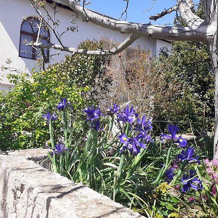 Apartman Sunce Raslina Εξωτερικό φωτογραφία