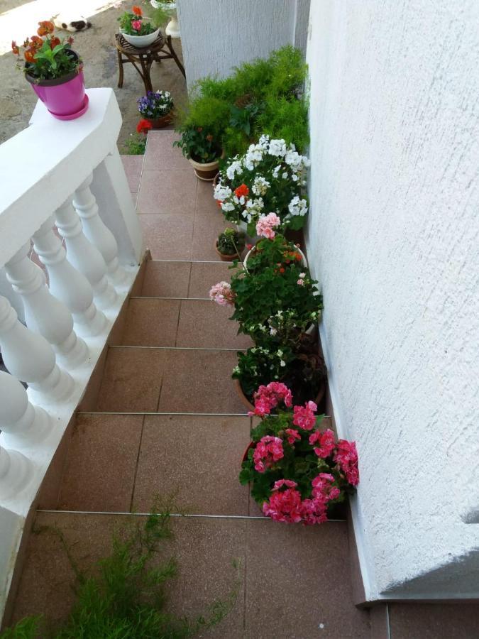 Apartman Sunce Raslina Εξωτερικό φωτογραφία