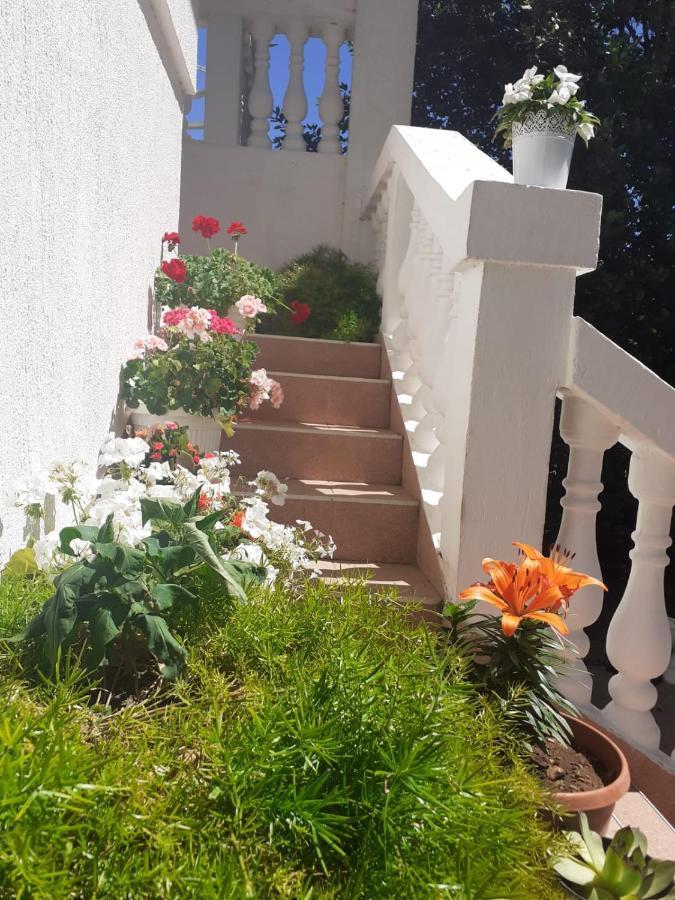 Apartman Sunce Raslina Εξωτερικό φωτογραφία