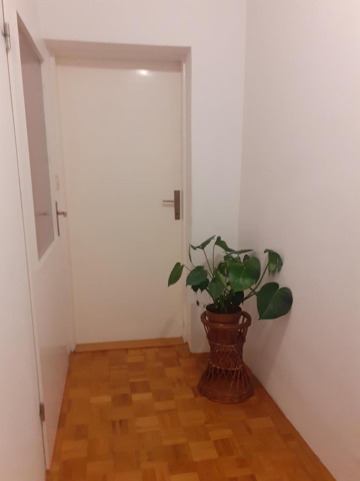 Apartman Sunce Raslina Εξωτερικό φωτογραφία