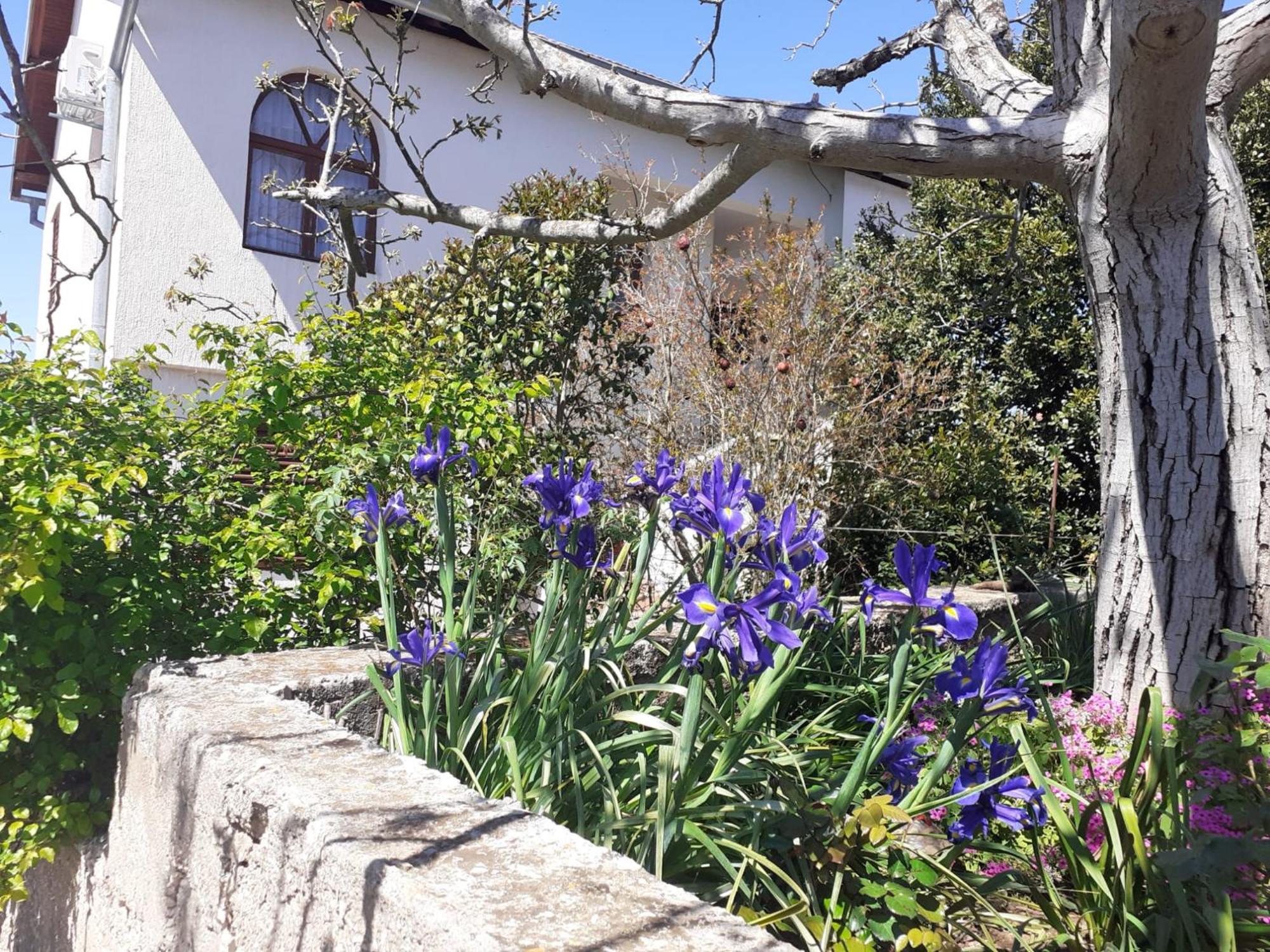 Apartman Sunce Raslina Εξωτερικό φωτογραφία